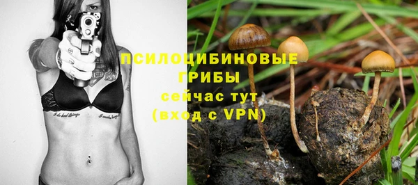мескалин Арсеньев