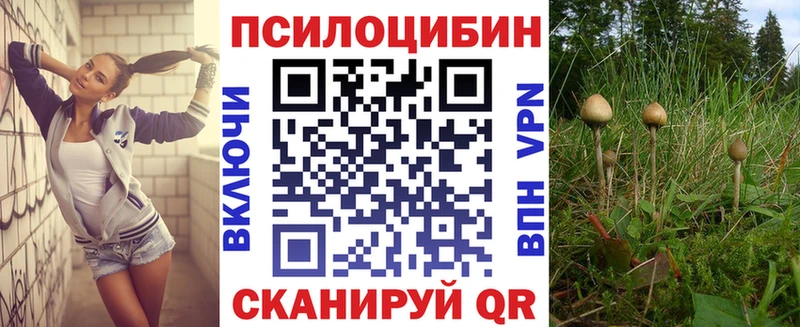купить закладку  Краснокаменск  Галлюциногенные грибы Psilocybe 